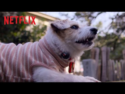 Video: Netflix Jas Leverette Om, Hvad Hunde Har Lært Ham