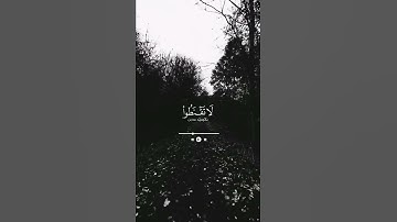 سورة الزمر-الآية 53