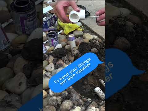 The Baileybrews Leak: The Cover-Up
