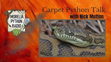 Carpet Python talk w/ Nick Mutton of Inland Reptiles