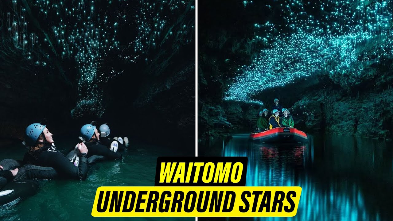 Waitomo Glowworm Caves – Where the Stars Shine Underground!