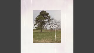 Between Two Trees