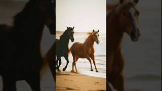 Born Free Andy Williams