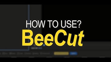 BeeCut 2021‖A Full Tutorial of Video Editor for Beginners  (KEEP UPDATING)