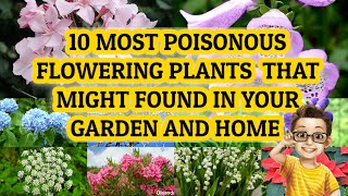 Most Poisonous Flowering Plants That Might Found In Your Garden or Home And Need To Be Careful