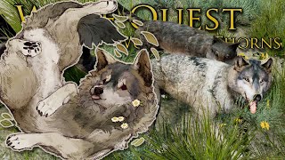 Only One WOLF BITE Away From Death?!  Wolf Quest: Wolves of Thorns • #50