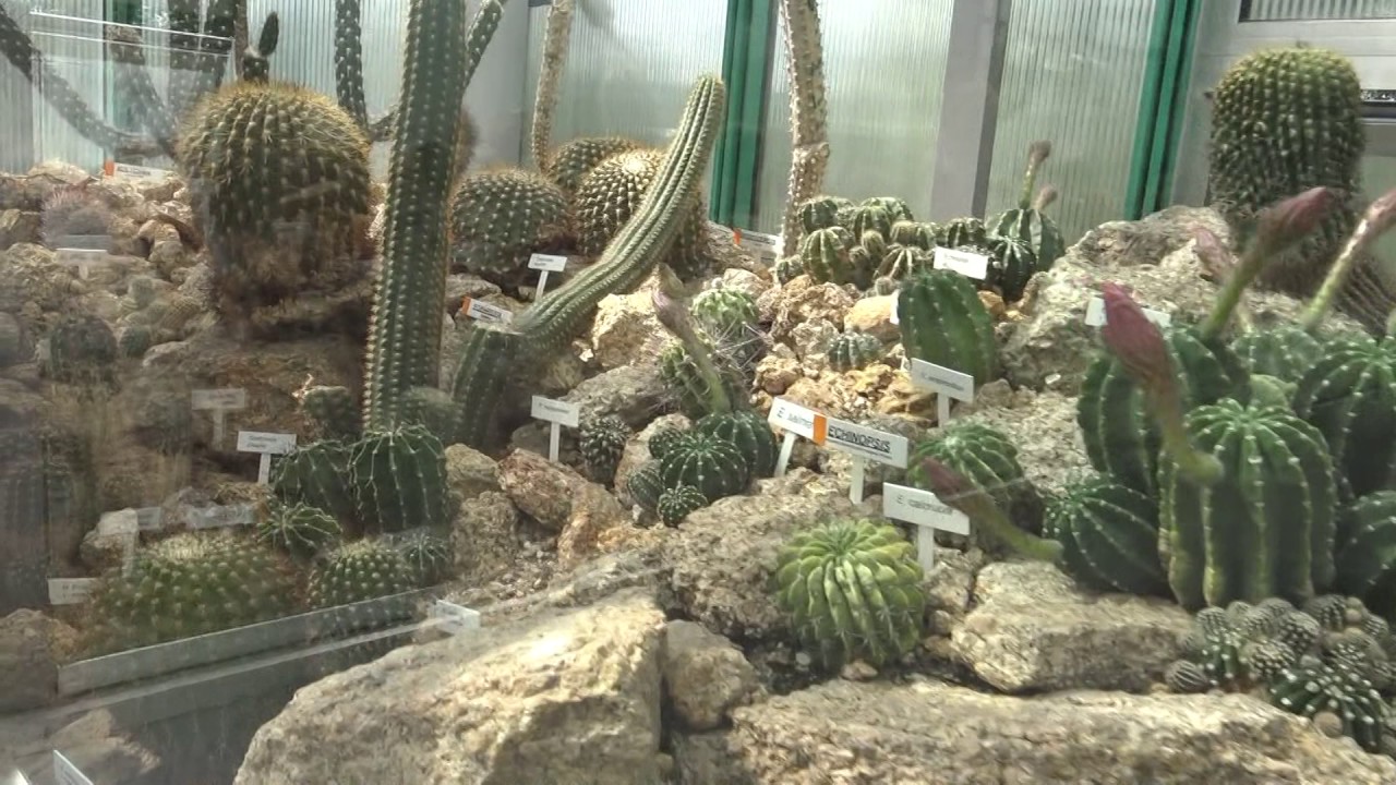 Botanická zahrada Liberec