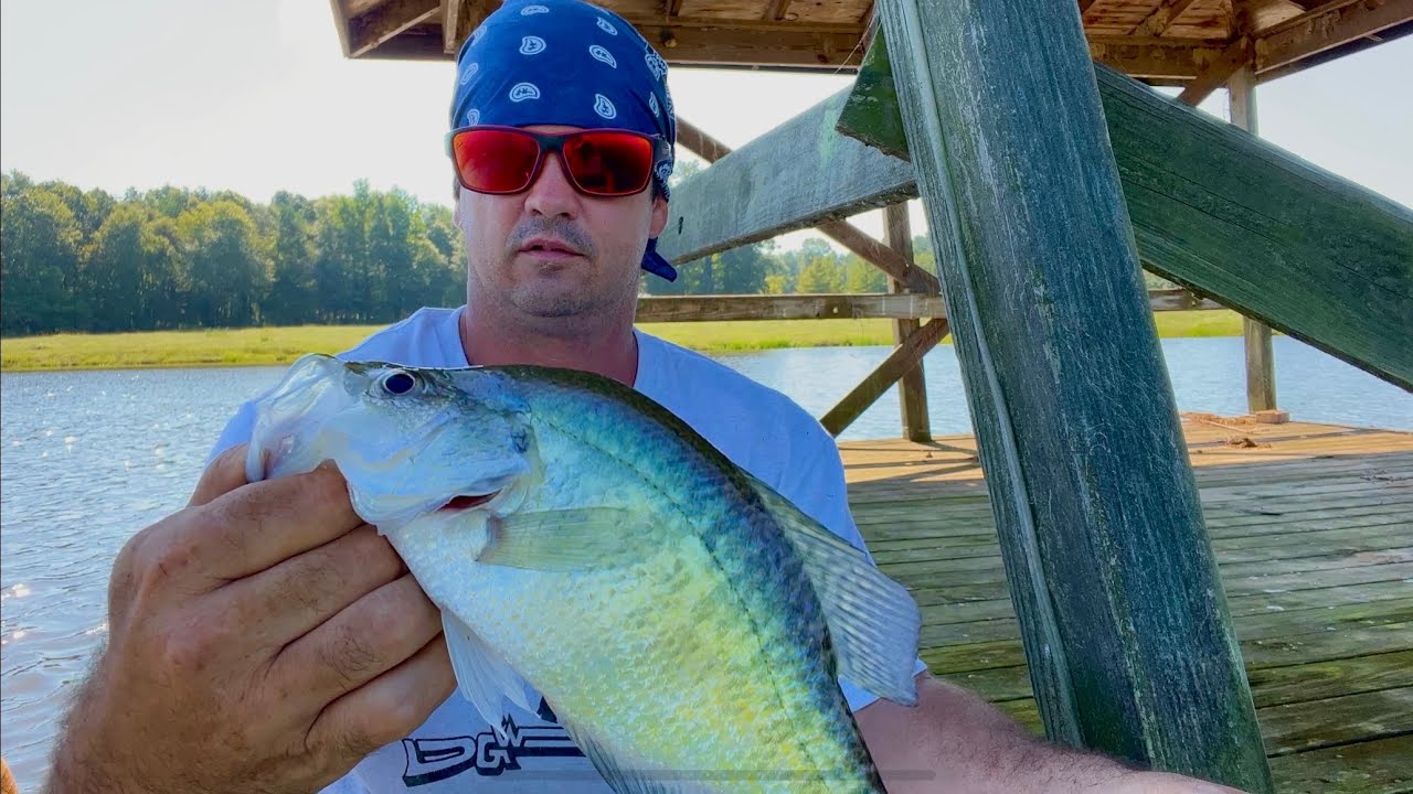 Kane Crapper Catching crappie in my Canoe - YouTube