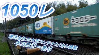 1050レ EF210-153牽引 ヤマト宅急便、ネコロジー、ランテック、佐川急便、日本梱包、フレートライナーコンテナなど運送会社の大型コンテナたくさん積載。