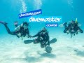 Divemaster Internship vs paid Divemaster Course