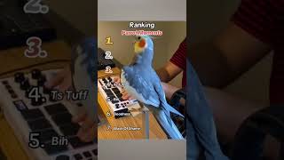 funniest parrot moments