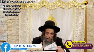 הרב עופר ארז - ✨ (פדיון נפש מידי יום⏰למסירת שמות בתיאור)👇