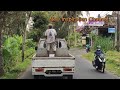 Bali touring fantastic standing on mini truck life is good