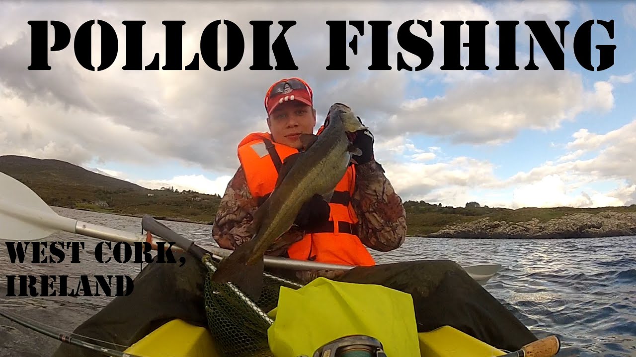 Pollock fishing Ireland Pollock from Kayak YouTube