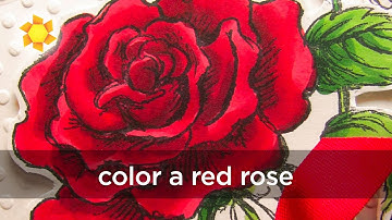 Coloring a red red rose in Copic markers