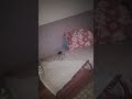 kızlar gece bile uyumuyorlar