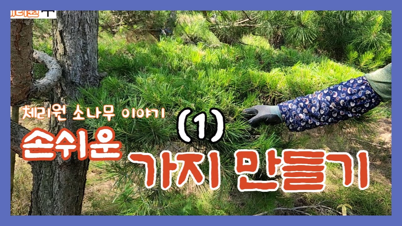 완성의 길목에서 가지 만들기(1)