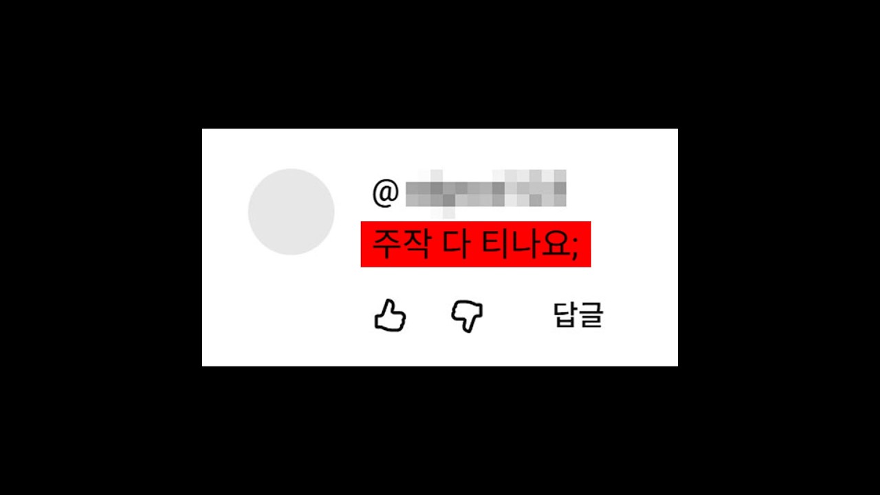 아오니 메챠 카멜레온 주작 논란 해명합니다