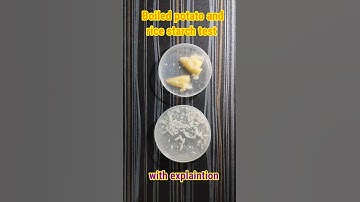 potato and rice starch test experiment #shorts #scienceexperiment