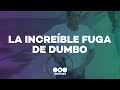 LA INCREÍBLE FUGA DEL NARCO "DUMBO"