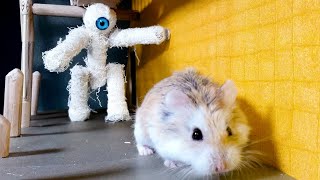 Extreme HAMSTER MAZE with TRAPS vs MAJOR HAMSTER stories #hamster #maze #traps