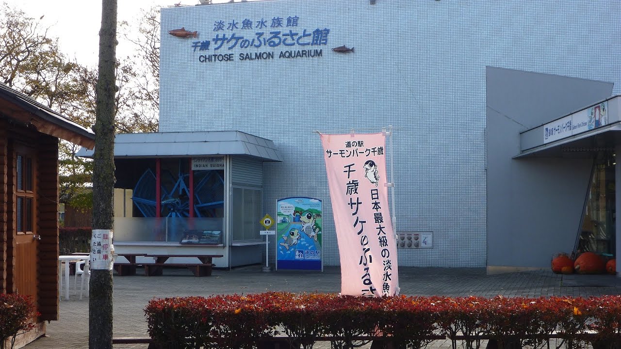 千歳サケのふるさと館 YouTube