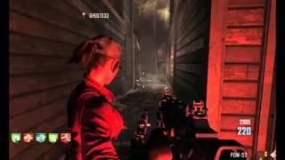 Famous COD BO2 - Random Zombie Death!? - COD Funny Moments ! :D Profile