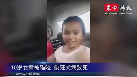10岁女童被猫咬 染狂犬病致死 - 天天要闻