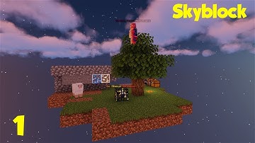 The Basics (Skyblock Ep.1) NeoNetwork
