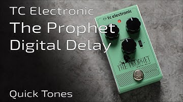 TC Electronic THE PROPHET Digital Delay - Quick Delayed Tones (no talk)