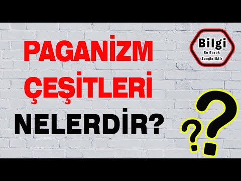 Kısa ve ÖZ