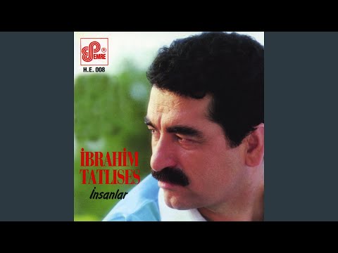 Ben Ne Biçim Serseriyim