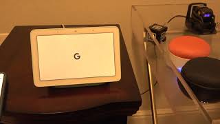 Weekly Review - Google Home Hub (New Addition)