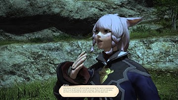 FFXIV What