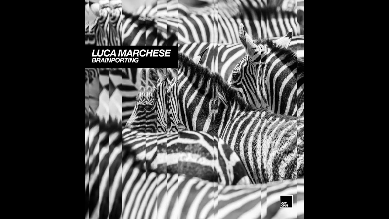 Luca Marchese - Brainporting (Original Mix)