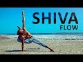 Shiva flow  cat shanti om