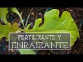 Fertilizante natural para enraizado y crecimiento gratis