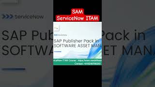 The SAP Publisher SAM Guide You Never Knew You Needed