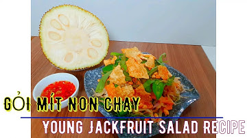 CÁCH LÀM GỎI MÍT NON CHAY - YOUNG JACKFRUIT SALAD RECIPE - 菠萝蜜沙拉食谱 - TẬP 43