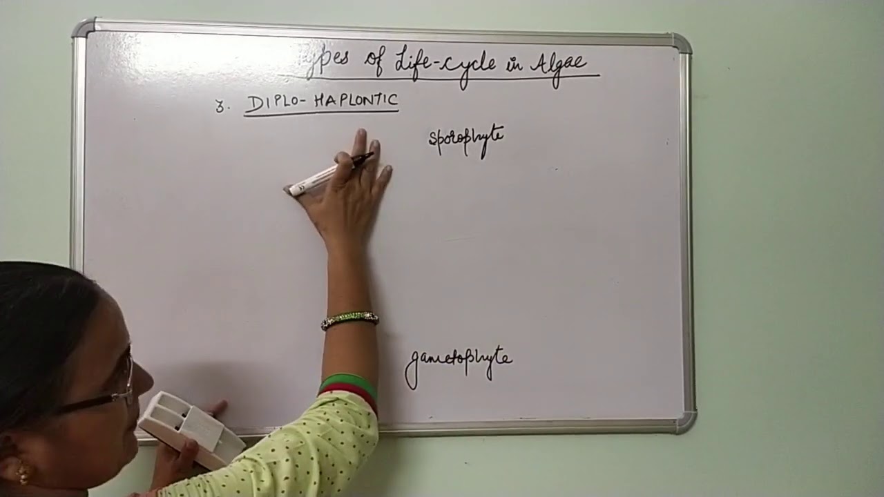 Types of Life cycle in Algae, by Dr. Vinod Kumari, B.Sc. Part I