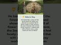 English Story |  Boy Brings Joy to the Garden 🌹 English for Beginners