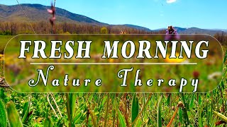 🌿🌞Begin Your Day With Positive Energy | Healing Spring Sounds🌿8H Fresh Morning Meadow Meditation