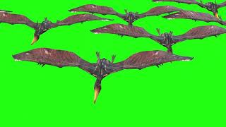 Group Of Pterodactyl Frount & Back Fly | Green Screen 3D Animation Video