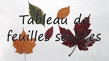 Comment coller des feuilles d'arbre sur du papier ?