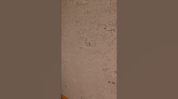 Tabor Common GPU Spawn