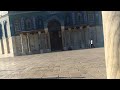 بث مباشر من المسجد الاقصى بث مباشر من المسجد الاقصى