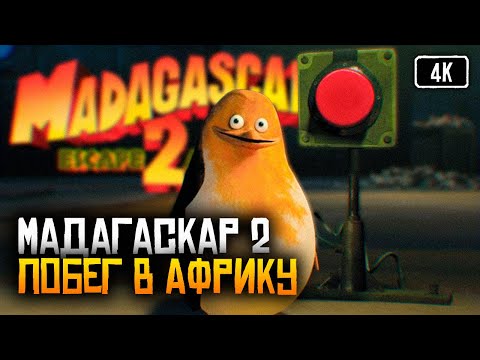 [4K] Madagascar: Escape 2 Africa прохождение на русском Мадагаскар 2 игра