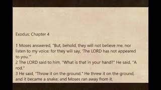 World English Bible. Audio/Text Version. Book 02  Exodus screenshot 5