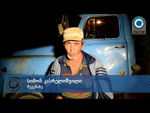 48 საათი კილომეტრიან რიგებში ყურძნის ჩასაბარებლად