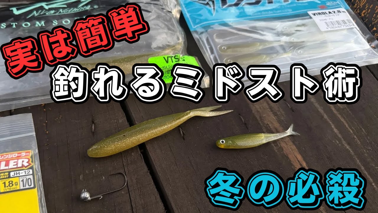 【バス釣り】冬になると最強になる【ミドスト】コツさえ掴めば、誰でも簡単な釣り方/長年やり続けて分かった釣れる使い方【MidStrooling】【青木大介】【ヴィローラー】【DRT】